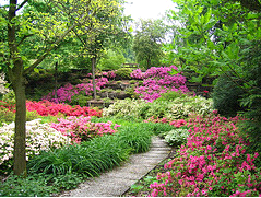 Giardinaggio fai da te